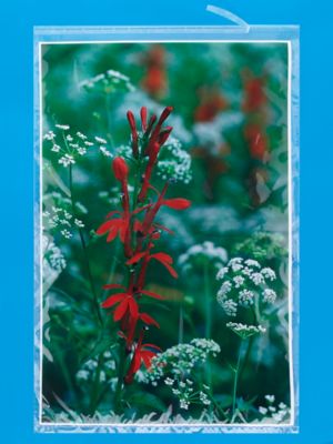Crystal Clear Resealable Polypropylene Bags - 25 x 37" S-17915