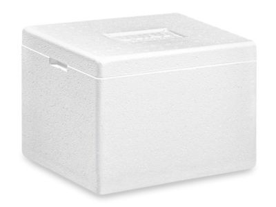 Cooler Styrofoam Cooler Box White Foam Plastic Cooler Box Ice Stock Photo  by ©Artiom.photo 573543584