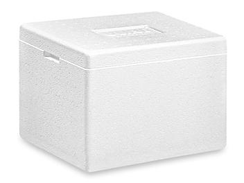 Insulated Foam Container - 8 x 6 x 4 1/4" S-18312