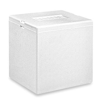 Insulated Foam Container - 8 x 6 x 9" S-18313