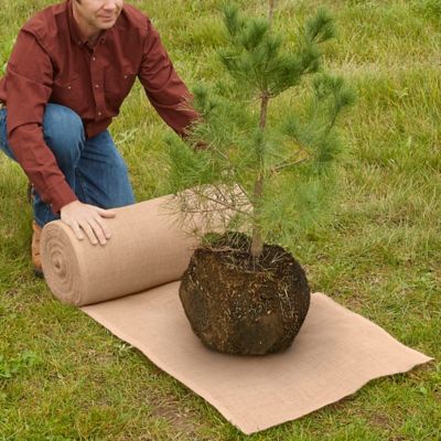 Burlap Roll - 20 x 100 yds S-14513 - Uline