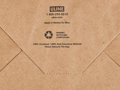 Recycled Paper Shopping Bags - 5 1/4 x 3 1/4 x 8 1/4", Rose