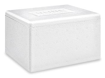 Insulated Foam Container - 6 x 4 1/2 x 3" S-20447