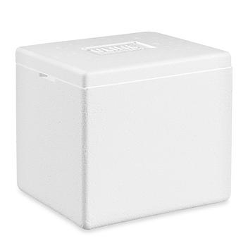 Insulated Foam Container - 8 x 6 x 7" S-21529
