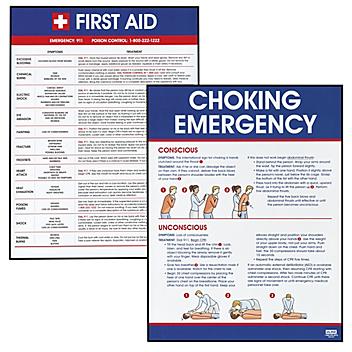 First Aid Poster Kit S-21644