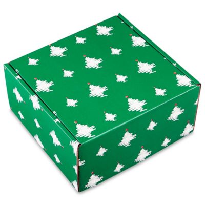  Boîtes d'expédition pour les fêtes – 10 x 10 x 5 po