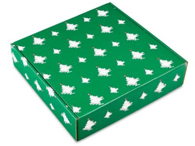  Boîtes d'expédition pour les fêtes – 16 x 16 x 4 po