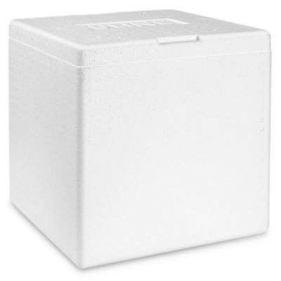 Styrofoam best sale freezer box