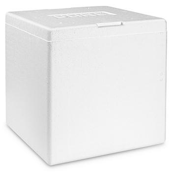 Insulated Foam Container - 12 x 12 x 11 1/2" S-22126