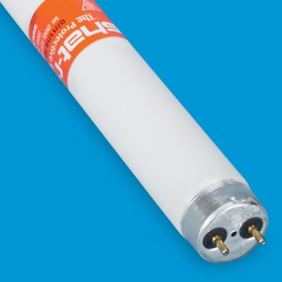 Shatter Resistant Light Bulbs - 48&quot; T8, Daylight