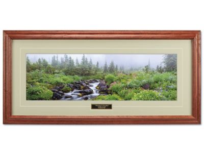 Morning in Paradise Print S-23069