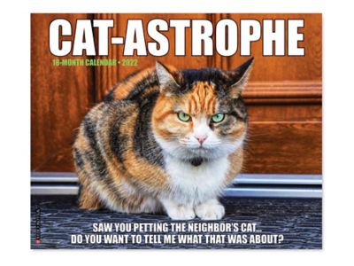 Cat-Astrophe 2025 Wall Calendar