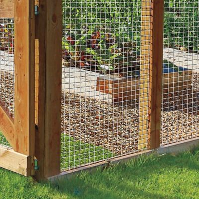 Chicken wire cheap dog fence