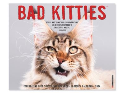 2024 Bad Kitties Calendar S25377 Uline