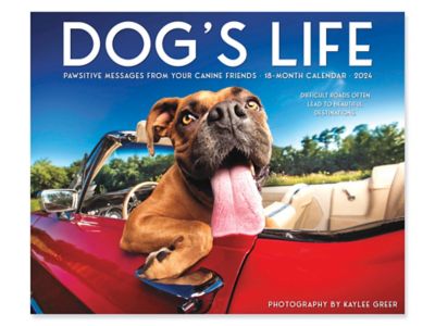 2024 Dog S Life Calendar S 25378 Uline   S 25378