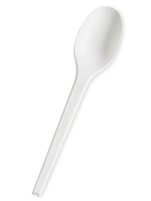  CPLA Spoon - Bulk Pack