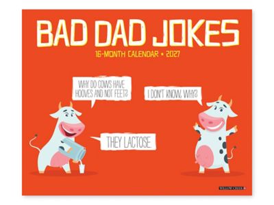 2027 Bad Dad Jokes Calendar S-26648