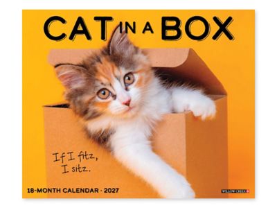 2027 Cat in a Box Calendar S-26650