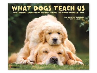 2027 What Dogs Teach Us Calendar S-26654