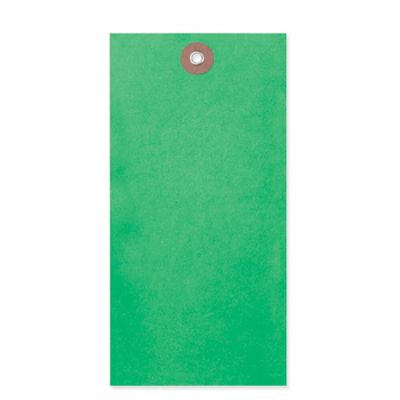 Tyvek&reg; Tags - #8, Green S-3553G