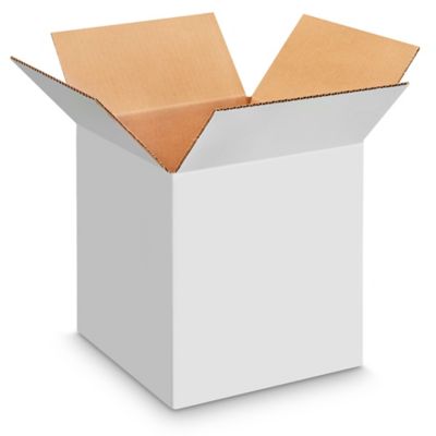 Clear Lid Boxes with White Base - 12 x 12 x 2 S-10576 - Uline