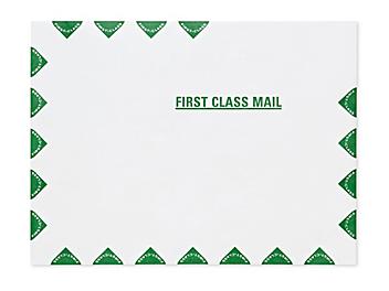 Tyvek&reg; Self-Seal "First Class" Border Envelopes - 9 x 12" S-5152