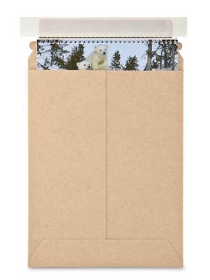 Kraft Self-Seal Stayflats&reg; #10 - 7 x 9" S-5614