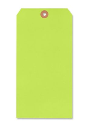  Jumbo Shipping Tags - #12, 8 x 4"