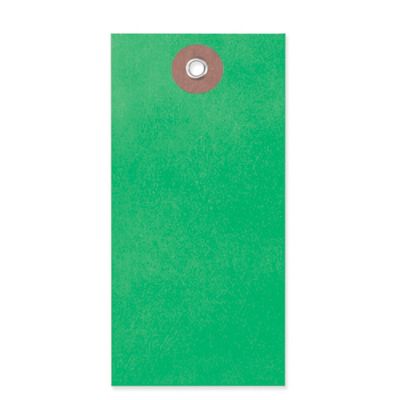 Tyvek&reg; Tags - #4, Green S-5987G