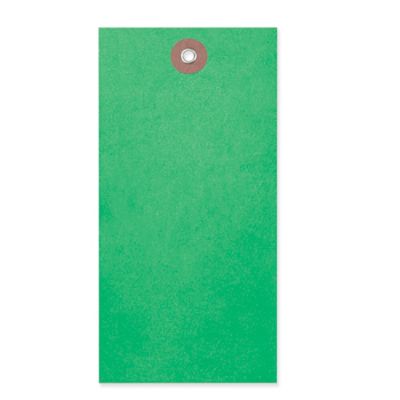 Tyvek&reg; Tags - #7, Green S-5989G