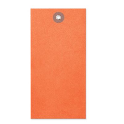 Tyvek&reg; Tags - #7, Orange S-5989O