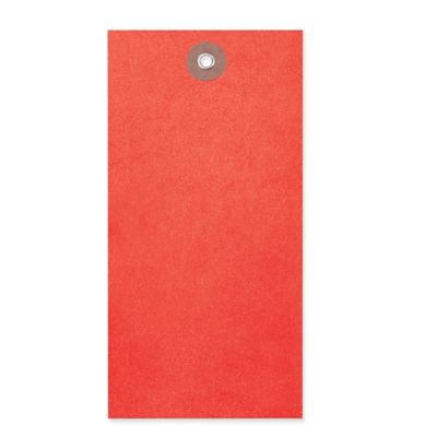 Tyvek&reg; Tags - #7, Red S-5989R