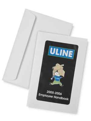  Enveloppes avec fenêtre panoramique – 6 x 9 po