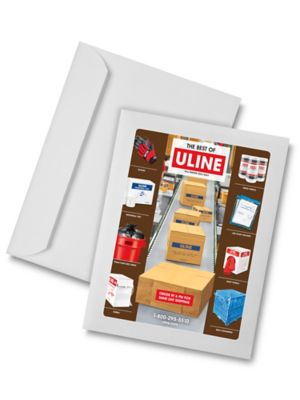 Full View Window Envelopes - 8 3/4 x 11 1/2", White S-6293W