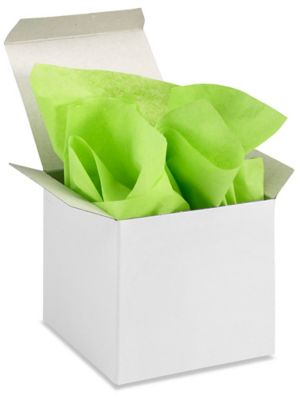 Tissue Paper Sheets - 20 x 30, Citrus