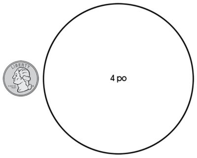 Étiquettes adhésives de 4 po