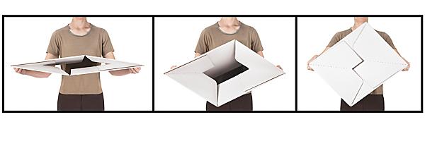 MTO File Box - Colt Paper