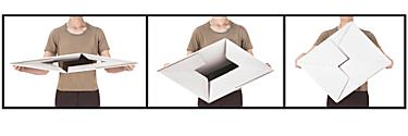 Plastic Storage File Box - 24 x 12 x 10 S-16322 - Uline