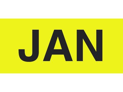 Months of the Year Labels - "JAN", 2 x 3"