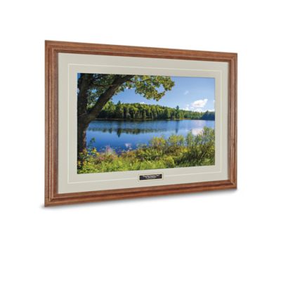 Framed Prints