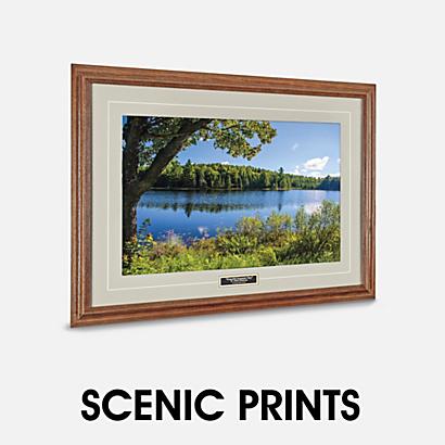 Framed Prints