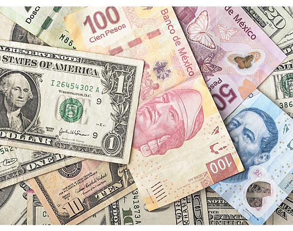 U.S. Dollars and Mexican Pesos