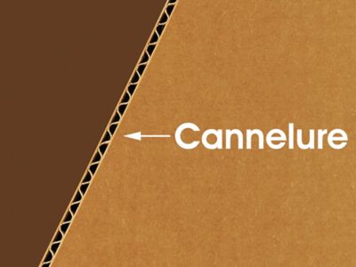 Dimensions de UPS pour les envois