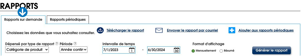 Générez des rapports de dépenses en fonction d’une catégorie de produit, d’un employé, d’une succursale ou d’un numéro d’article