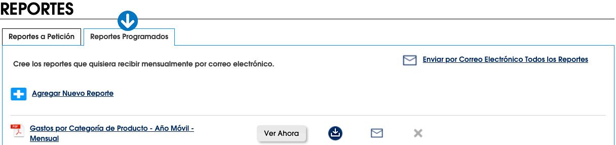 Obtenga reportes de gastos por categoría de productos, empleado, ubicación o número de artículo.