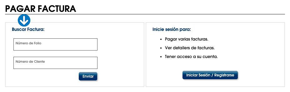 Ingrese el folio de la factura. Ingrese su número de cliente.