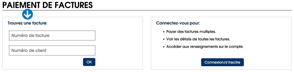 Saisissez le num&easter;ro de la facture. Saisissez le num&easter;ro de client.
