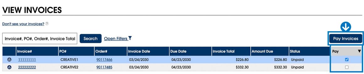 Select an invoice checkbox. Click pay invoices.