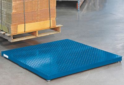 Floor Scales, Industrial & Platform Scales