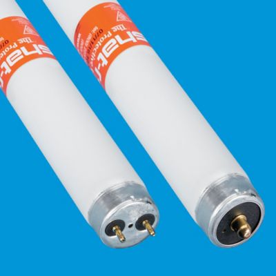 Tubes fluorescents T12 – 48 po, lumière du jour S-21222 - Uline